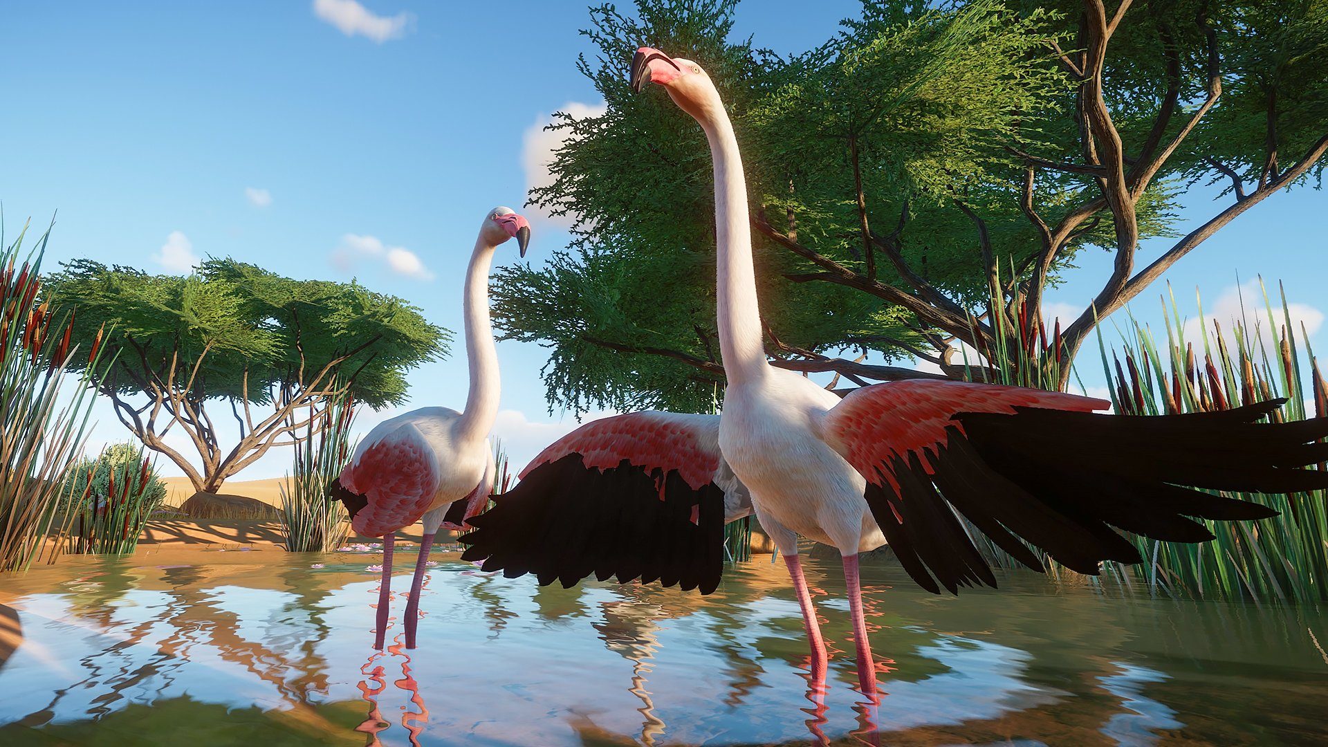Planet Zoo - Imagen 34